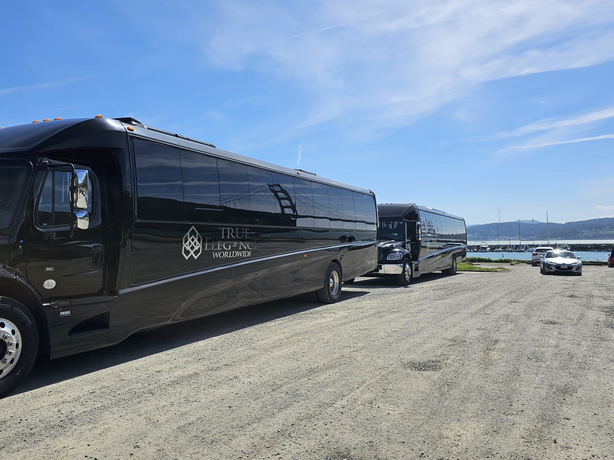 Bay Area charter bus fleet Two black True Elegance charter buses staged for a Bay Area group transportation program
