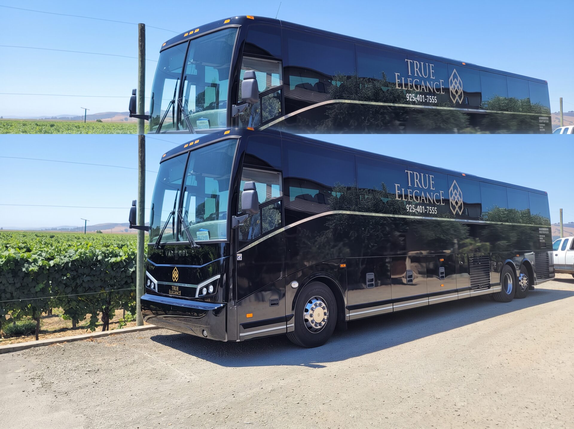 56-passenger Van Hool coach Black True Elegance Van Hool 56-passenger charter bus parked beside a vineyard under blue sky