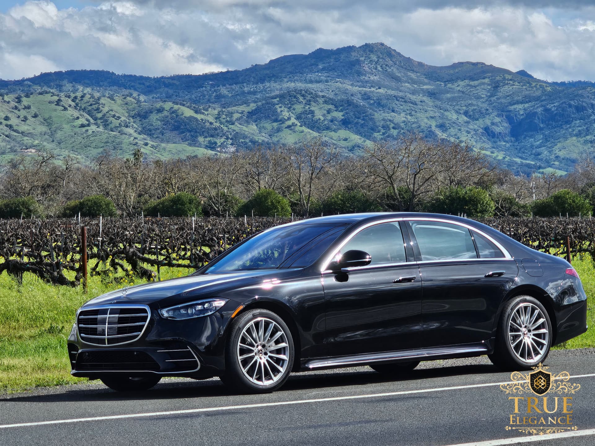 Mercedes-Benz S-Class sedan Black Mercedes-Benz S-Class chauffeured sedan parked beside a vineyard on a Tri-Valley wine country road