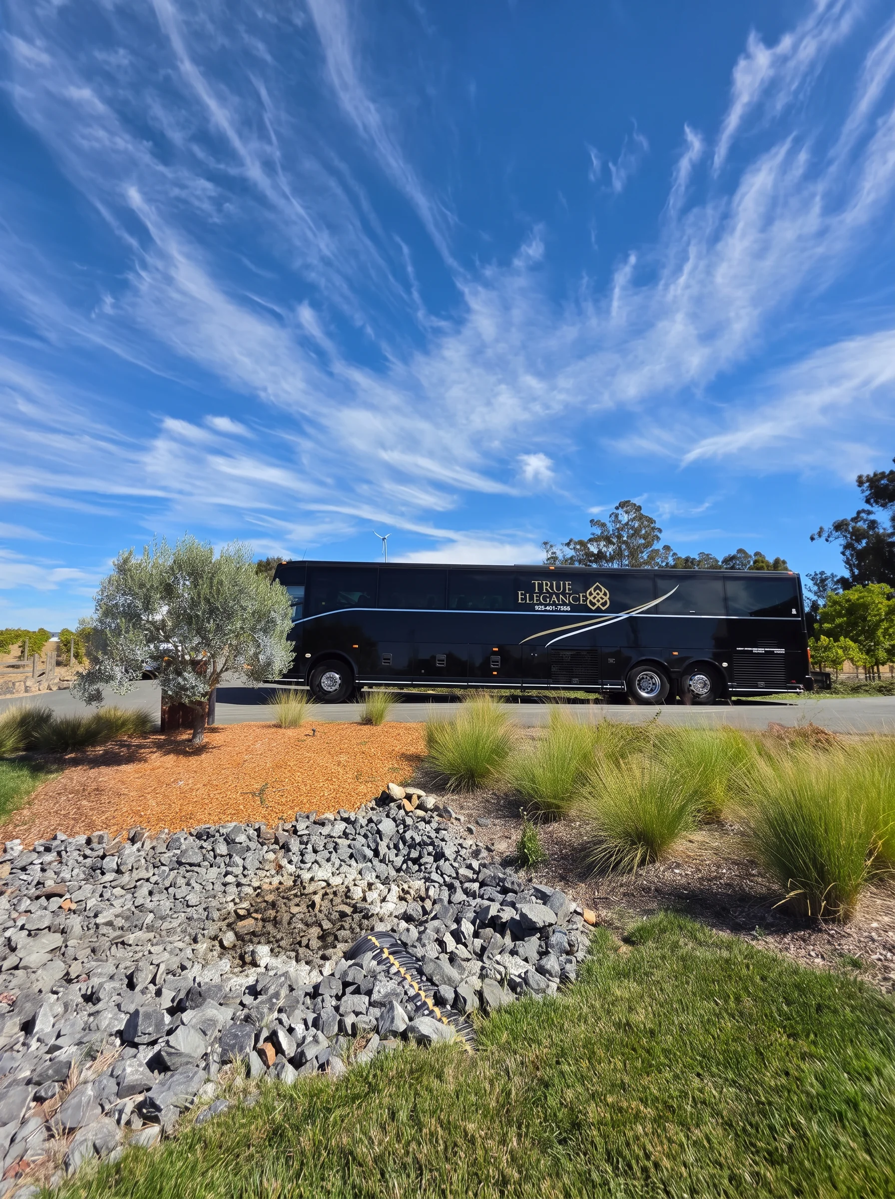 Bay Area vineyard charter bus Black True Elegance charter motorcoach beside vineyard rows during a Northern California group trip